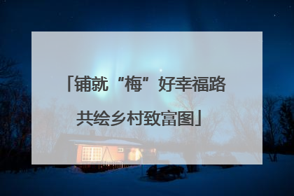 铺就“梅”好幸福路 共绘乡村致富图