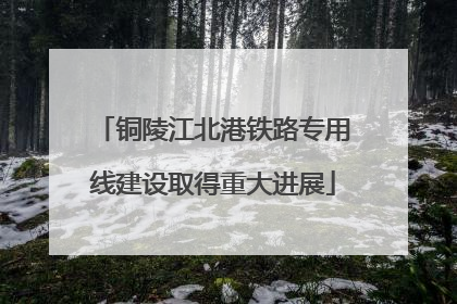 铜陵江北港铁路专用线建设取得重大进展