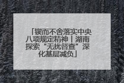 锲而不舍落实中央八项规定精神丨湖南探索“无扰督查”深化基层减负