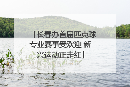 长春办首届匹克球专业赛事受欢迎 新兴运动正走红