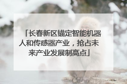 长春新区锚定智能机器人和传感器产业，抢占未来产业发展制高点