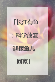 长江有鱼：科学放流 迎接鱼儿回家