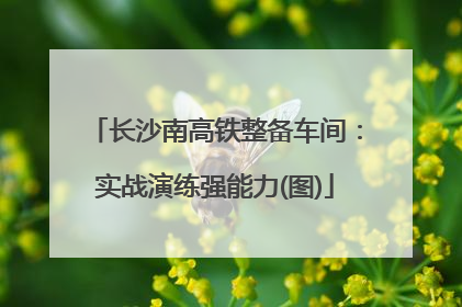 长沙南高铁整备车间：实战演练强能力(图)
