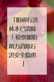 阻碍行洪林木已清除！检察履职助力消除行洪安全隐患