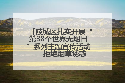 陵城区扎实开展“第38个世界无烟日”系列主题宣传活动——拒绝烟草诱惑 对第一支烟说不