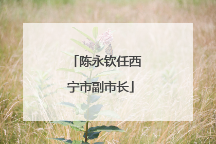 陈永钦任西宁市副市长
