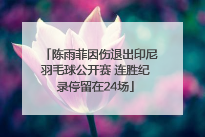 陈雨菲因伤退出印尼羽毛球公开赛 连胜纪录停留在24场