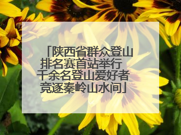 陕西省群众登山排名赛首站举行 千余名登山爱好者竞逐秦岭山水间