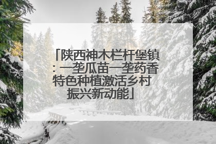 陕西神木栏杆堡镇：一垄瓜苗一垄药香 特色种植激活乡村振兴新动能