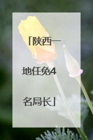 陕西一地任免4名局长