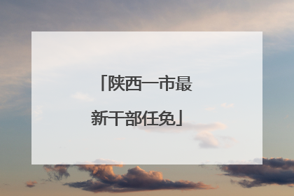 陕西一市最新干部任免