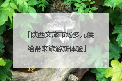 陕西文旅市场多元供给带来旅游新体验