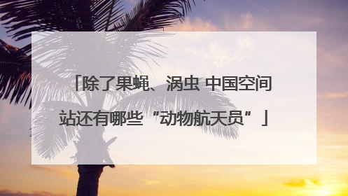 除了果蝇、涡虫 中国空间站还有哪些“动物航天员”