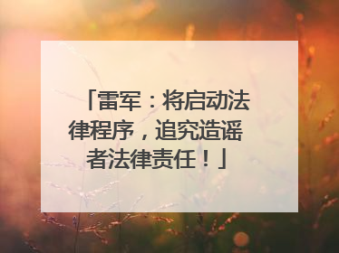 雷军：将启动法律程序，追究造谣者法律责任！