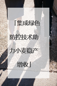 集成绿色防控技术助力小麦稳产增收