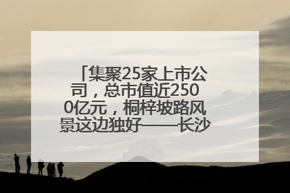 集聚25家上市公司，总市值近2500亿元，桐梓坡路风景这边独好——长沙有条“上市路”