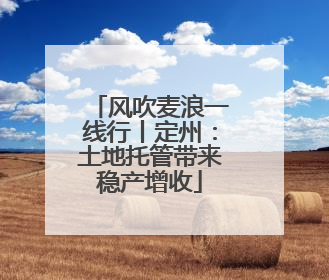 风吹麦浪一线行丨定州：土地托管带来稳产增收