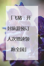 飞猪：开封旅游预订人次增速领跑全国