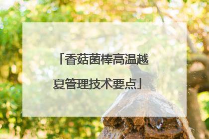 香菇菌棒高温越夏管理技术要点