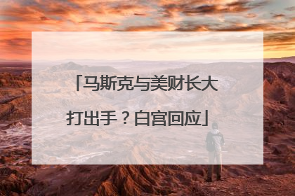 马斯克与美财长大打出手？白宫回应