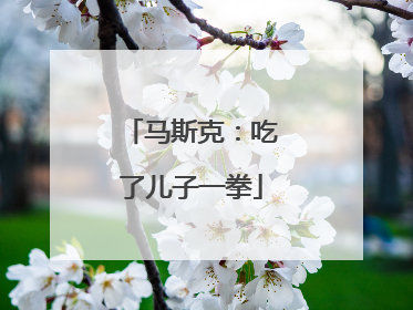 马斯克：吃了儿子一拳