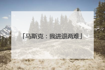 马斯克：我进退两难