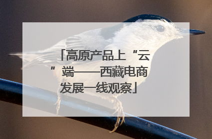 高原产品上“云”端——西藏电商发展一线观察