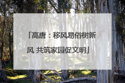 高唐：移风易俗树新风 共筑家园促文明