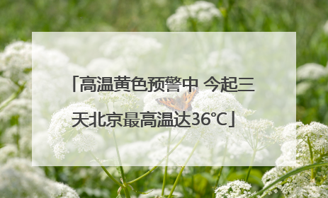 高温黄色预警中 今起三天北京最高温达36℃