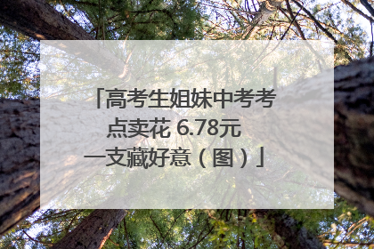 高考生姐妹中考考点卖花 6.78元一支藏好意（图）