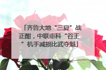 齐鲁大地“三夏”战正酣，中联重科“谷王”机手减损比武夺魁