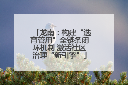 龙南：构建“选育管用”全链条闭环机制 激活社区治理“新引擎”