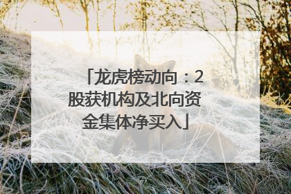 龙虎榜动向：2股获机构及北向资金集体净买入