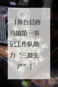鱼台县唐马镇第一书记工作队助力“三夏生产”