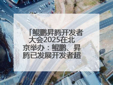 鲲鹏昇腾开发者大会2025在北京举办：鲲鹏、昇腾已发展开发者超665万