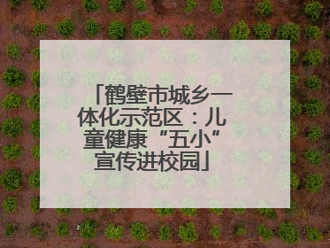 鹤壁市城乡一体化示范区：儿童健康“五小”宣传进校园