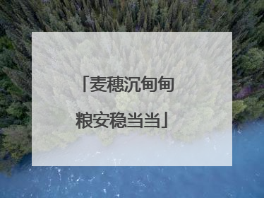 麦穗沉甸甸 粮安稳当当