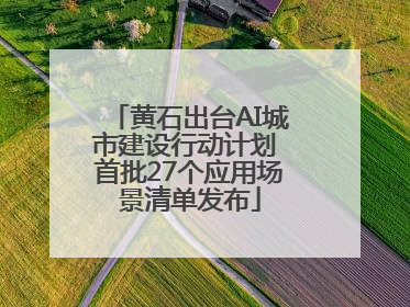 黄石出台AI城市建设行动计划 首批27个应用场景清单发布