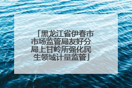 黑龙江省伊春市市场监管局友好分局上甘岭所强化民生领域计量监管