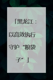 黑龙江：以高效执行守护“粮袋子”