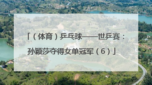 （体育）乒乓球——世乒赛：孙颖莎夺得女单冠军（6）