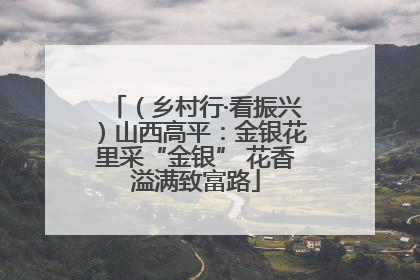 （乡村行·看振兴）山西高平：金银花里采“金银” 花香溢满致富路