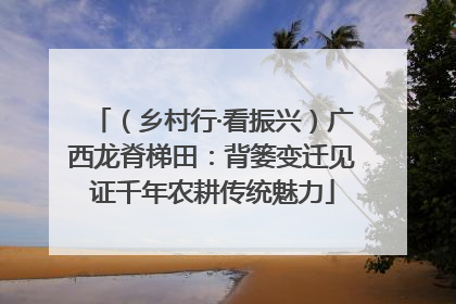 （乡村行·看振兴）广西龙脊梯田：背篓变迁见证千年农耕传统魅力
