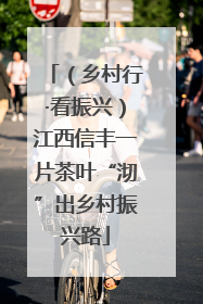 （乡村行·看振兴）江西信丰一片茶叶“沏”出乡村振兴路