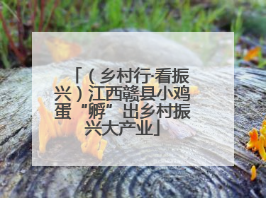 （乡村行·看振兴）江西赣县小鸡蛋“孵”出乡村振兴大产业