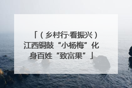（乡村行·看振兴）江西铜鼓“小杨梅”化身百姓“致富果”