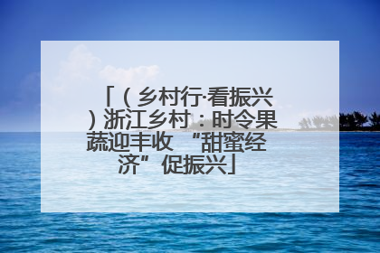 （乡村行·看振兴）浙江乡村：时令果蔬迎丰收 “甜蜜经济”促振兴