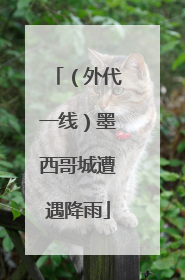 （外代一线）墨西哥城遭遇降雨