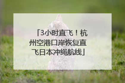 3小时直飞！杭州空港口岸恢复直飞日本冲绳航线