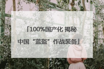 100%国产化 揭秘中国“蓝盔”作战装备